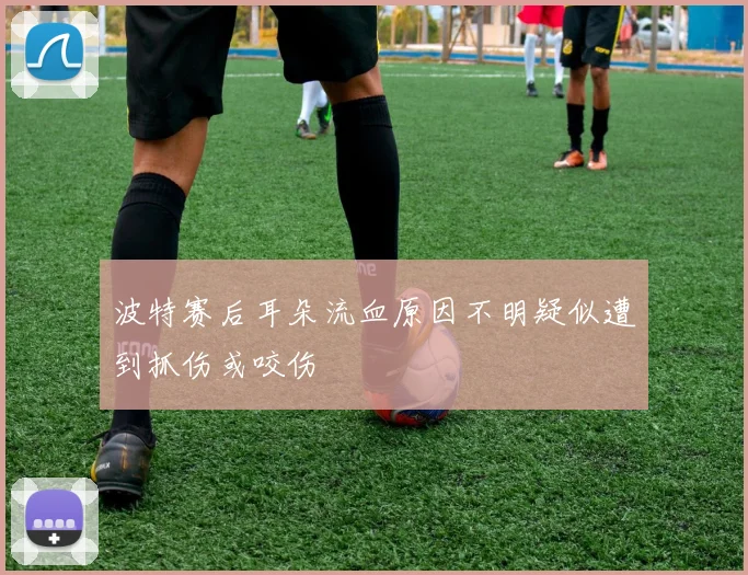 波特赛后耳朵流血原因不明疑似遭到抓伤或咬伤